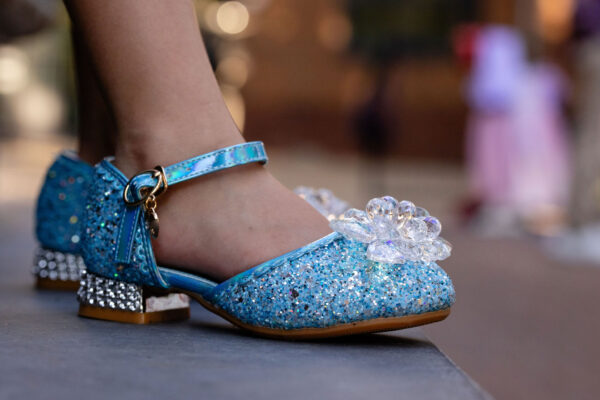 Prinsessenschoen blauw